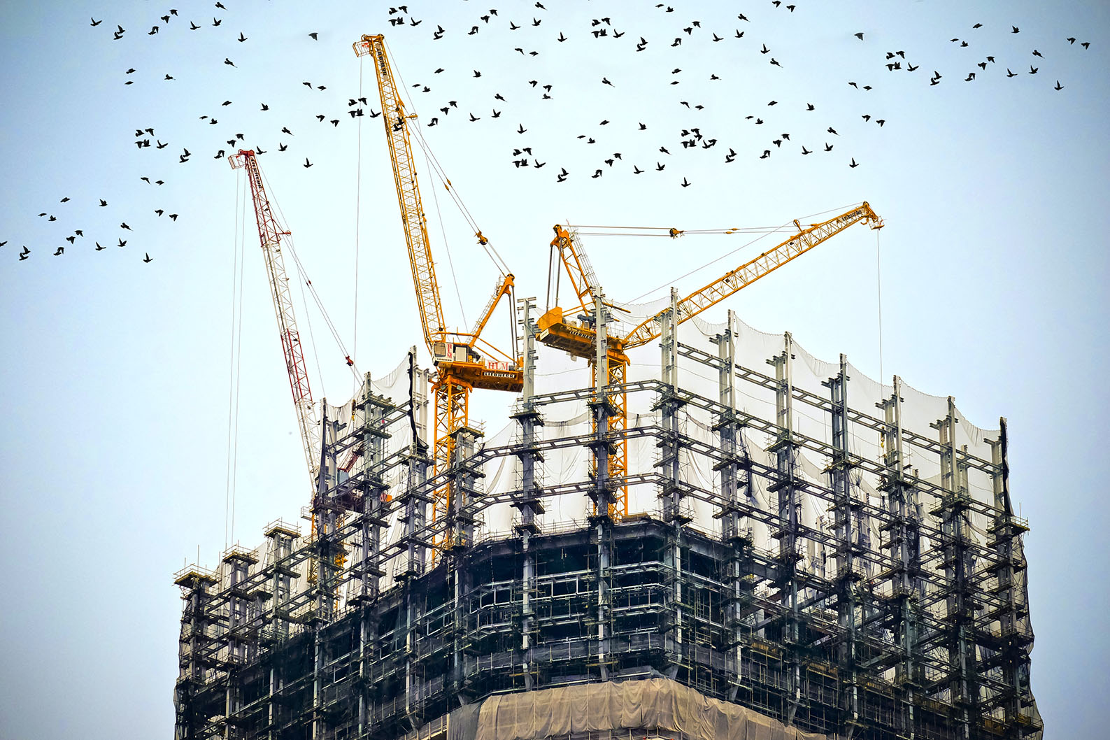 photo de construction d'un batiment